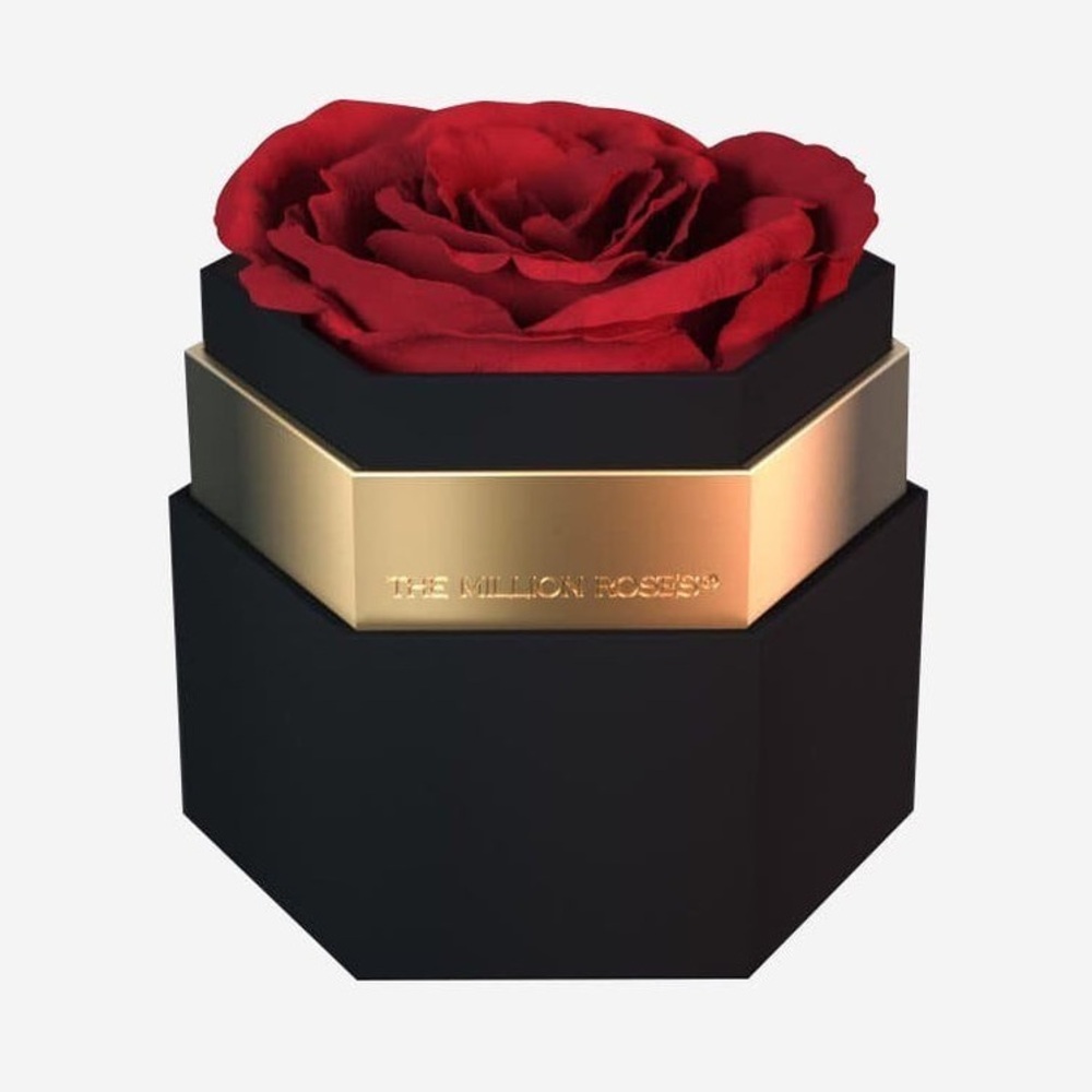 The Million Roses: Red Rose 🌹 - Picture 2 of 12
